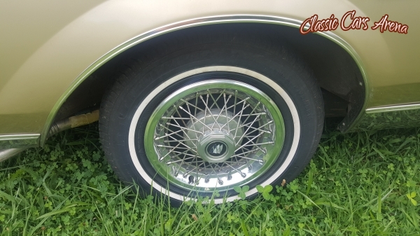 1981 Buick Regal