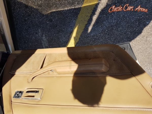 1981 Chevrolet Corvette
